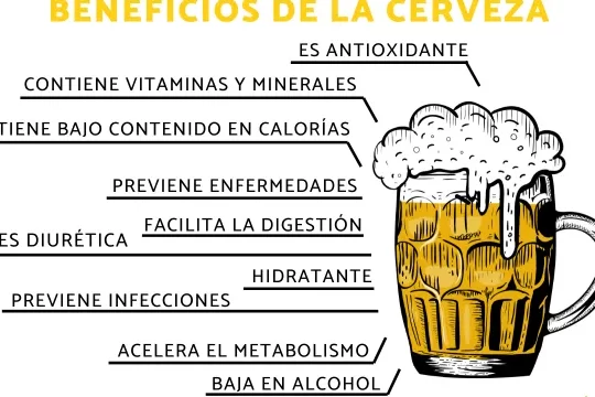 Beneficios de la cerveza para la vesícula: Descubre por qué esta bebida puede ser saludable 1 beneficios de la cerveza para la vesicula descubre por que esta bebida puede ser saludable